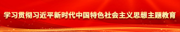 看免费操逼逼学习贯彻习近平新时代中国特色社会主义思想主题教育